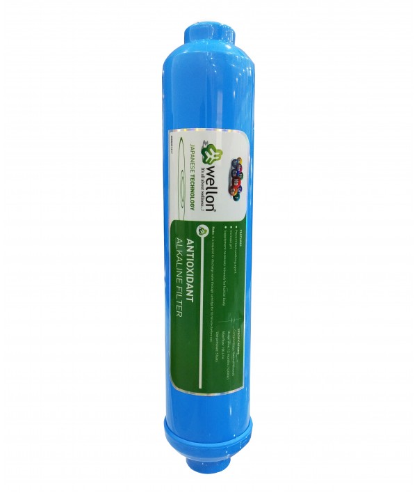 Wellon 10 INCH AAA (Anti-oxidant Alkaline Anti-Bacterial) Filter 